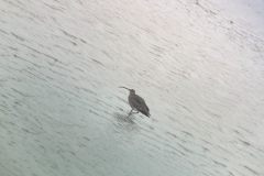 Lina-Vogelbeobachtung-durchs-Fernrohr