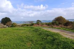 Alexandra-Heidelandschaft-am-Meer