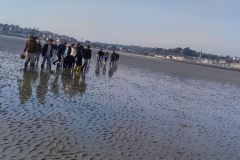 Anna-Strandfischen-2