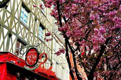 Ben-M.-Rouen-Fassade-eines-Lokals