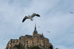 Ella-Mont-Saint-Michel-mit-Moewen