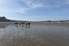 Lukas-Binic-Strandfischen