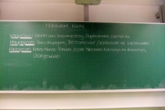 DSCF9482