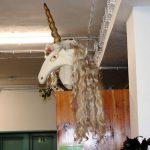 IMG_1622