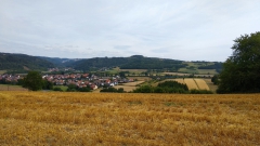 IMG_20190722_111032