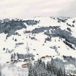 IMG_20190115_125359