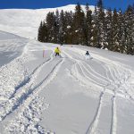 IMG_20190116_103549
