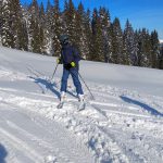 IMG_20190116_103551
