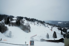 IMG_20221211_130242