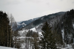 IMG_20221211_150829