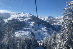 IMG_7461