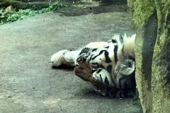 Zoo Leipzig